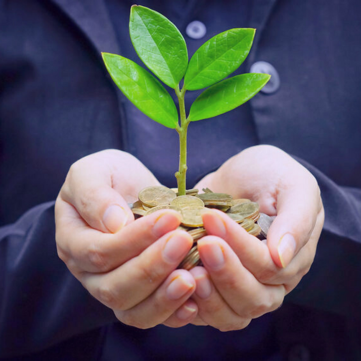 A person holding a pile of coins growing a plant.