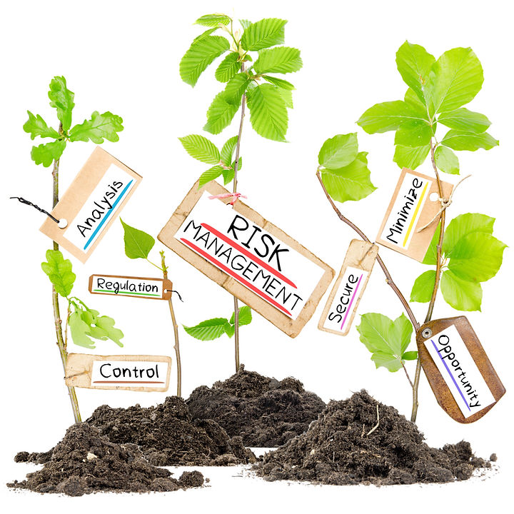 Plants growing from soil heaps with conceptual words of analysis, regulation, control, risk management, secure, minimize, and opportunity written on cards.